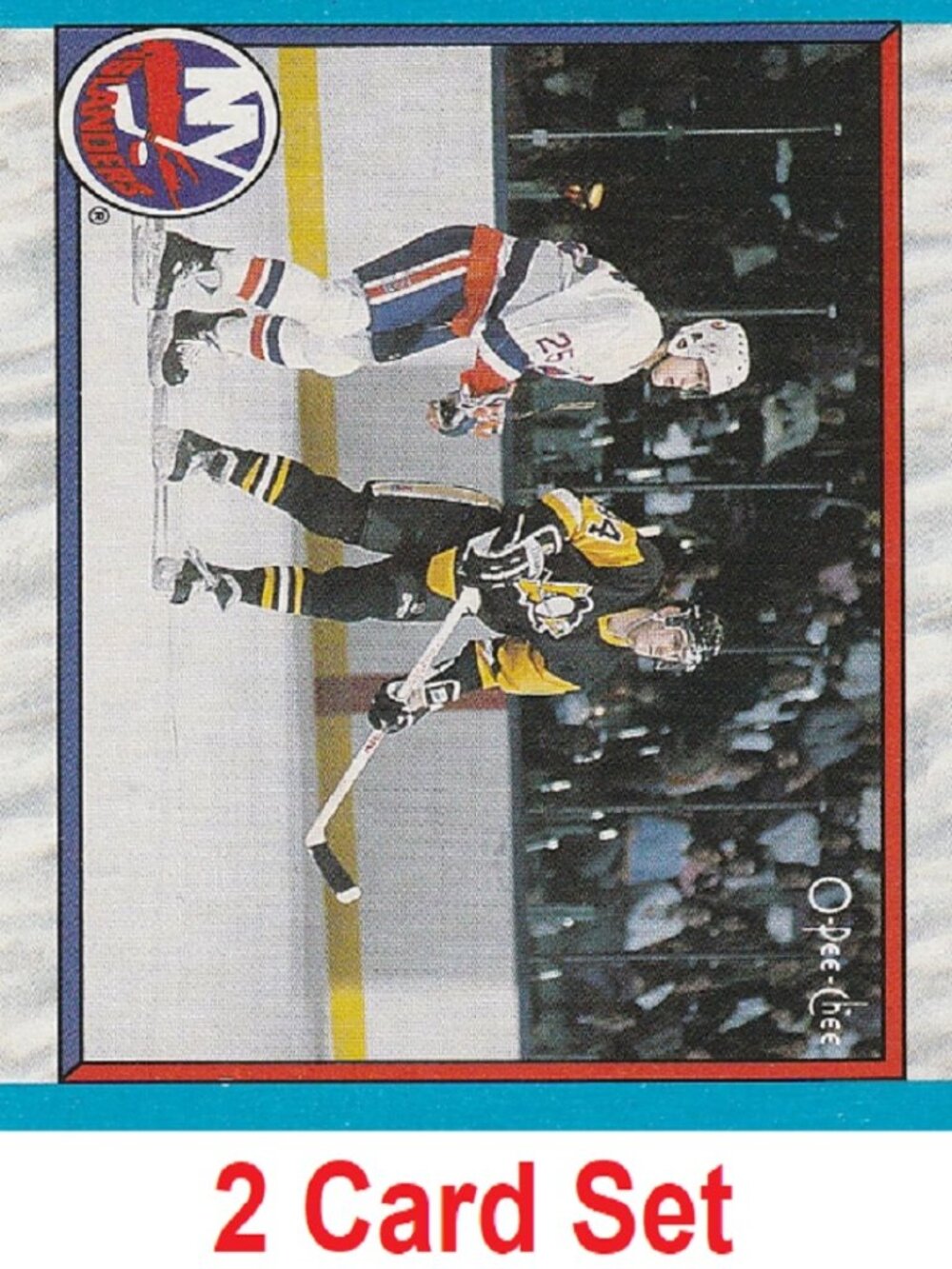 New York Islanders Team Facts NHL Hockey Cards